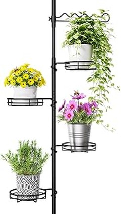 Guía para colocar y mantener vitrinas de plantas tropicales en casa