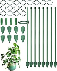 Guía para elegir el mejor tutor para tus pothos en interiores