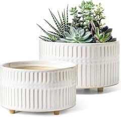 Guía para elegir la maceta de cerámica perfecta para tus plantas