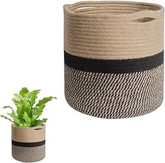 Guía para seleccionar la maceta mediana perfecta para tus plantas de salón