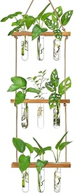 Guía para elegir la mejor estación de propagación para tus plantas interiores