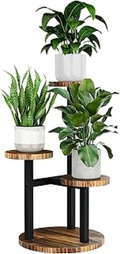 Guía para seleccionar la mejor estantería de madera para plantas de interior