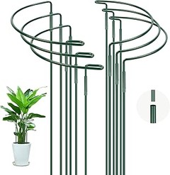 Guía paso a paso para instalar aros metálicos en plantas de interior