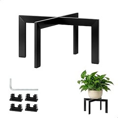 Guía para instalar un soporte adecuado para ficus de interior