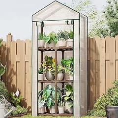 Guía para instalar y mantener un invernadero pequeño para tus plantas