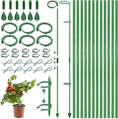 Guía práctica para instalar y usar kits de tutor y clips en tus plantas de interior