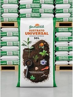 Preparación y uso del sustrato universal para tus plantas de interior