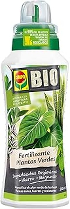 Guía para aplicar abonos y potenciar el crecimiento de hojas en plantas de interior