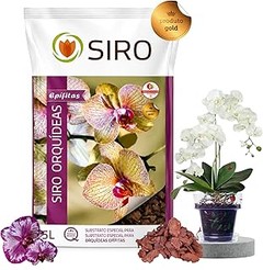 Guía para usar mezclas premium en plantas raras de interior