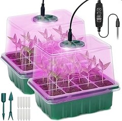 Guía práctica para usar un kit de germinación en casa