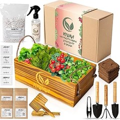 Guía para usar kits de propagación de pothos y monstera