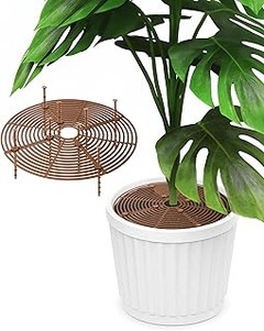 Guía Práctica para Usar y Mantener Protectores Premium de Plantas de Interior