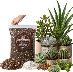 Guía práctica para usar sustrato en suculentas y cactus de interior