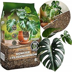 Mejores sustratos aireados para Monstera: comparativa de marcas