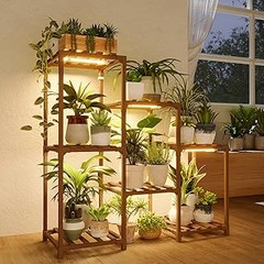 Mejores vitrinas para plantas tropicales: comparativa de marcas y modelos