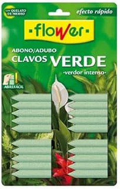 abonos para suculentas de interior