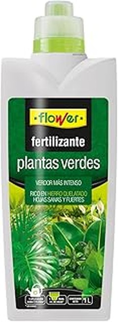 Mejores lugares para comprar abonos para plantas verdes de interior
