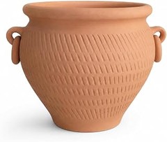 Las mejores opciones para comprar macetas de terracota para interior