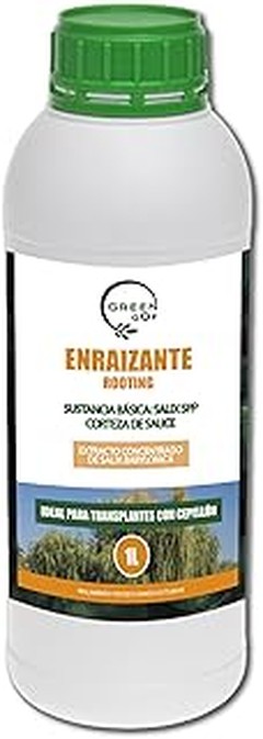 Errores Frecuentes en el Uso de Kits de Esquejado para Plantas de Interior