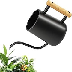 Evita estos errores al usar regaderas de cuello largo para tus plantas