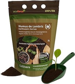 Errores al elegir y utilizar sustratos con humus para tus plantas de interior