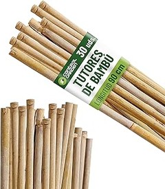 Errores frecuentes al utilizar tutores de bambú en plantas de interior
