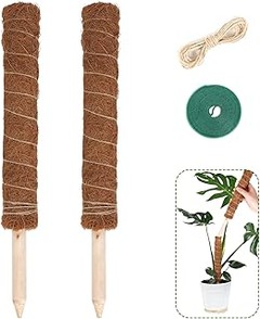 Errores que debes evitar al usar tutores decorativos para plantas de interior