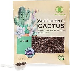 Cómo fertilizar correctamente mis suculentas de interior