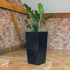 Cómo elegir los mejores cubremacetas cuadrados para tus plantas