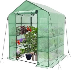Cómo cuidar tus plantas en invernaderos de estilo vitrina