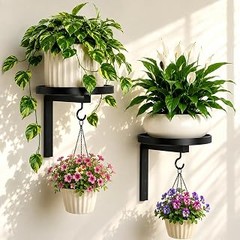 Cómo elegir el mejor soporte de pared para tus plantas colgantes