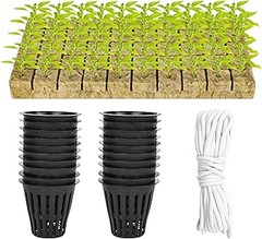 Cómo utilizar vasos de propagación en el cultivo de esquejes en agua