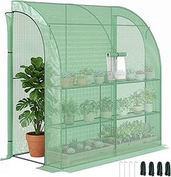 Invernaderos de interior para plantas delicadas