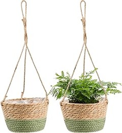 ¿Qué plantas son ideales para macetas colgantes?