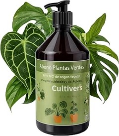 Los mejores abonos líquidos para plantas de interior en 2023
