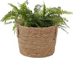 Las mejores cestas con asas para mover plantas en casa en 2026
