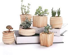 Los mejores cubremacetas pequeños para cactus en 2023