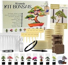 Comparativa de los mejores kits de invernadero para plantas de interior