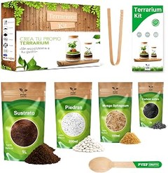Top kits para propagar pothos y monstera en interiores