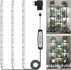 Las mejores luces de cultivo para plantas de escritorio