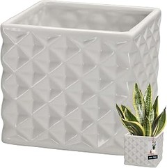 Macetas para plantas de interior