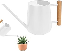 Comparativa de las mejores regaderas metálicas para plantas de interior