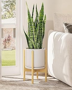 Los Mejores Soportes de Estilo Nórdico para Plantas Pequeñas
