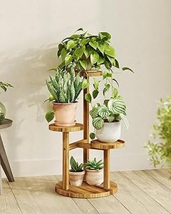 Comparativa de los mejores soportes de madera para plantas de interior en 2023