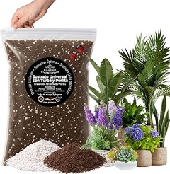 Los mejores sustratos con perlita para tus plantas de interior