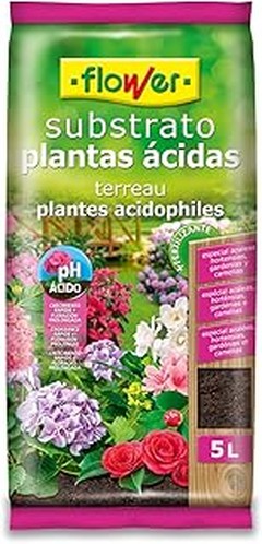 Comparativa de sustratos en sacos grandes para plantas de interior
