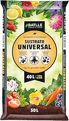 Guía de los mejores sustratos para plantas de interior