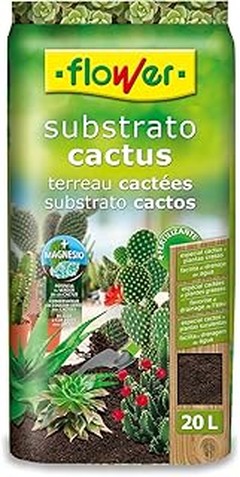 Comparativa de los mejores sustratos para suculentas en interiores