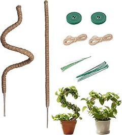 tutores altos para plantas trepadoras de salón