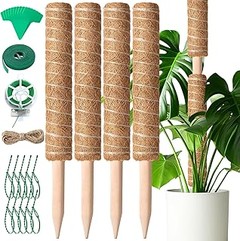 Los mejores tutores extensibles para plantas de interior en 2023